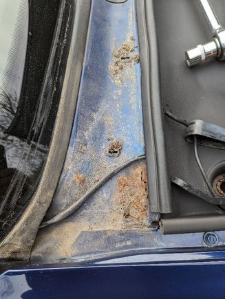
Rust at r/h end of the windscreen scuttle.  I've done some initial treatment to stop the spread but is there some welding needed here?  There's a sizable (about 70mm x 35mm hole there now.
