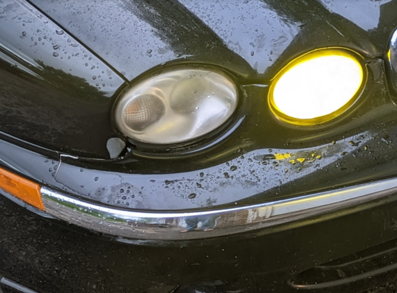 Damage from low-speed deer impact