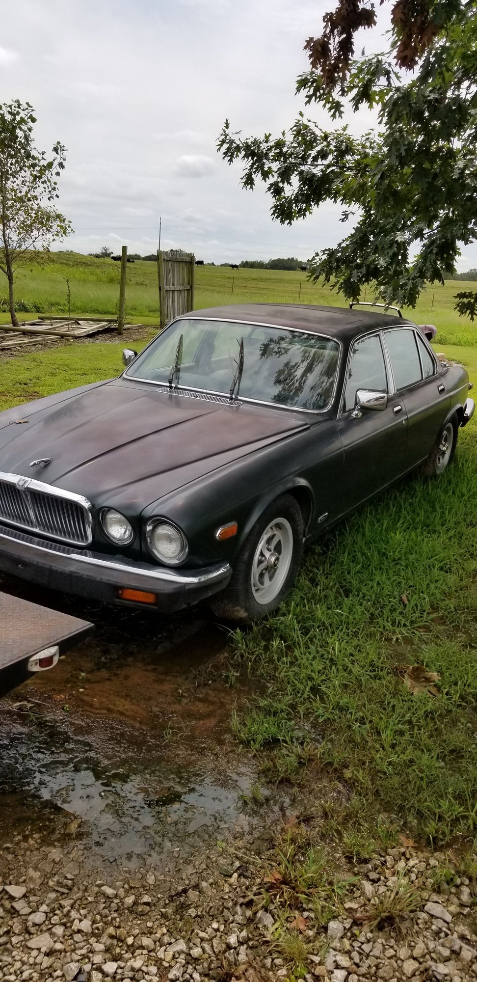 Exterior Body Parts - Parting out a 1986 xj6. - Used - Altamont, KS 67330, United States