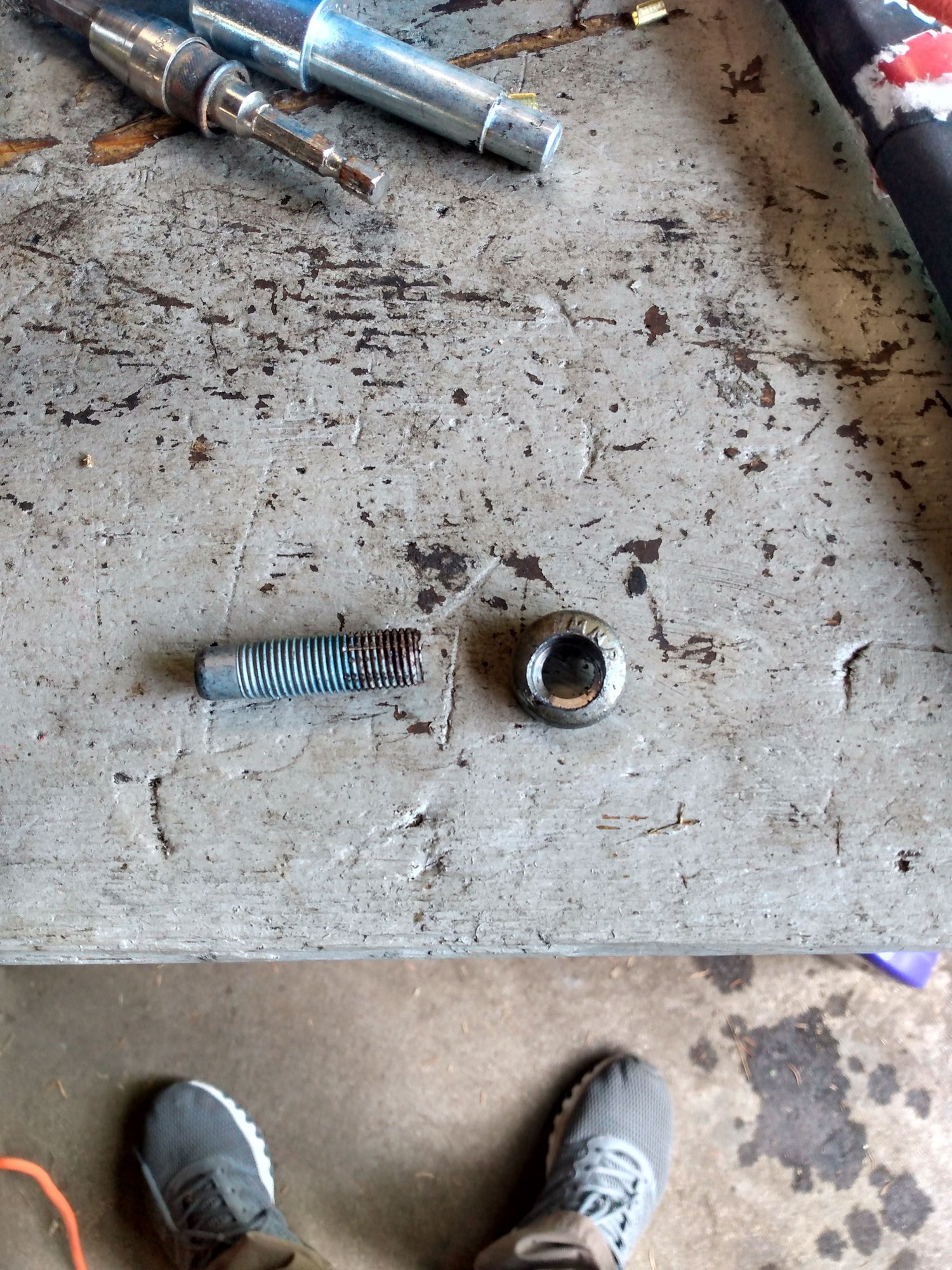Seat Belt Torx Bolt Stripped The top destination for