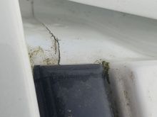 Drivers side cracks in sealant