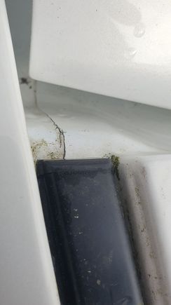 Drivers side cracks in sealant