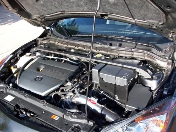 engine bay plastics painted
