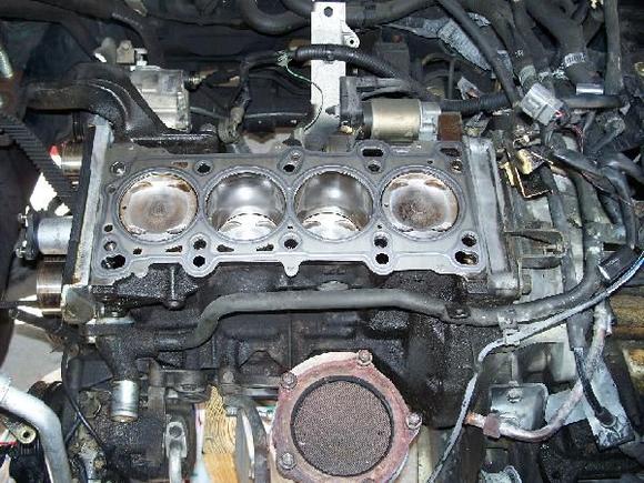 New Gasket