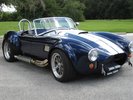 Garage - Shelby Cobra