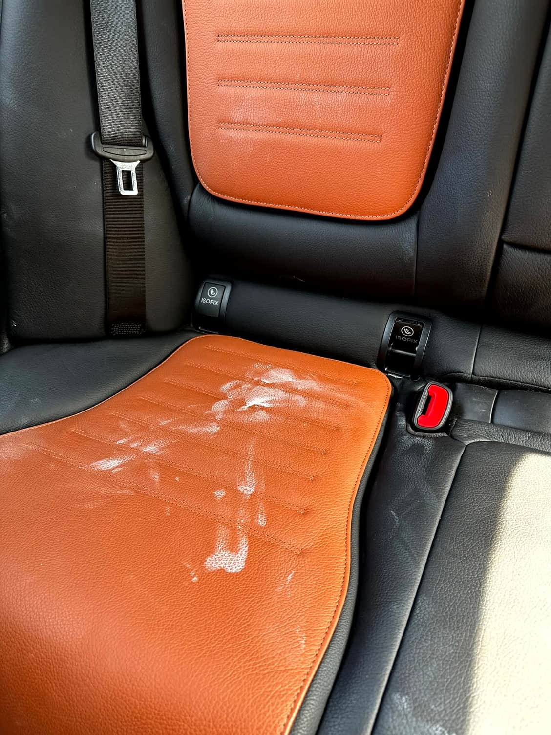 Leather and Interior Cleaner - Interior Cleaning & Care - Adams Forums