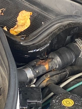 Can someone tell me what this plastic hose is called near the driver side. It was leaking coolant