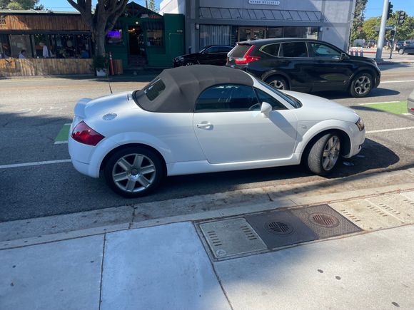SL 55 is better than the Audi TT design but …the SL231 really sets itself apart more so than the SL55 without 15K in design and paint upgrades.  