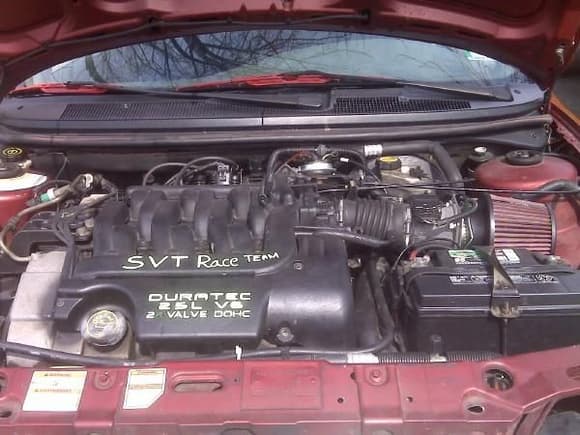 Rebuilt svt engine. bored out pistions, valves, oversized injecters, and spector short ram air intake system.