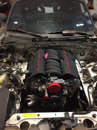 Engine and trans are locked in place now. Maybe ive spent too much time looking at it, but it seems soo natural with a v8 sitting in there. Dosent seem strange at all. 