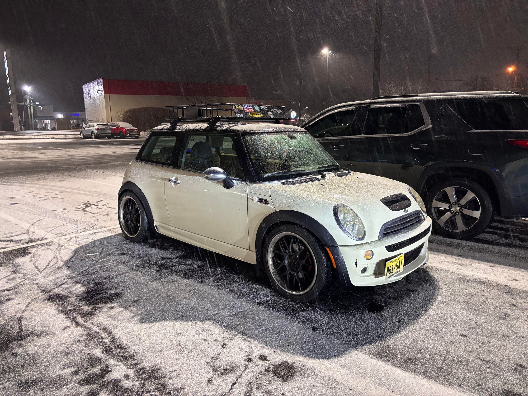 Snowy cooper