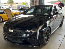 Caddy Black Wing