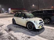 Snowy cooper
