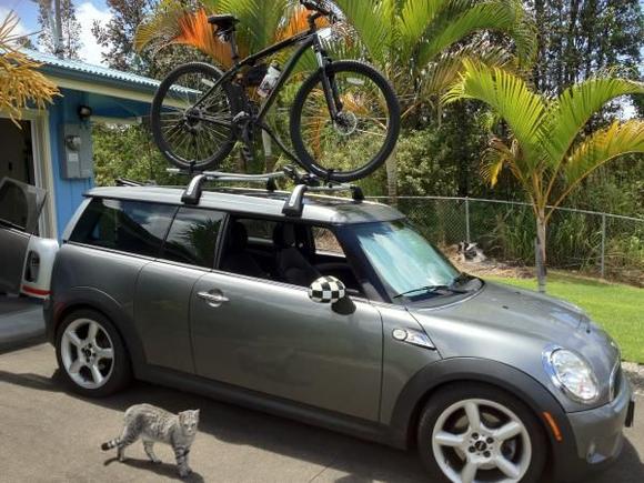 Exterior Image 
Clubman with Bike 