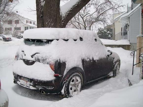 snow covered rear