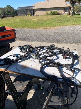3 502 mpi cool fuel efi harness 