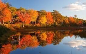 There’s some amazing photos that come out of fall. Whether it’s a sunrise or sunset, the landscapes are absolutely beautiful. Being able to capture a piece of nature through photography is another fun fall boating activity. See what kind of pictures you can come up with. 