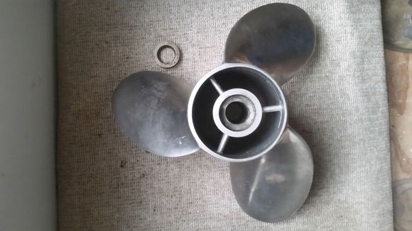 21" Bottom