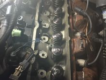 And bank 1 springsare done!!!! Why is it the last two damn springs went the way all of the rest didnt???
