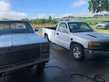 Few of my girls. S10 isn’t pictured here unfortunately 