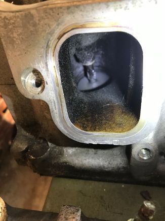 Here are mine at alittle over 120k miles when I hurt a lifter.  I bought the truck with just over 100k miles bone stock.  So as far as I know it has never had a catch can.  Mine didn’t look that bad.

That said I’m getting ready to do just a cheap eBay one.  I read the reviews on them and for 40 bucks why not.  I will not pay a lot of money for one.