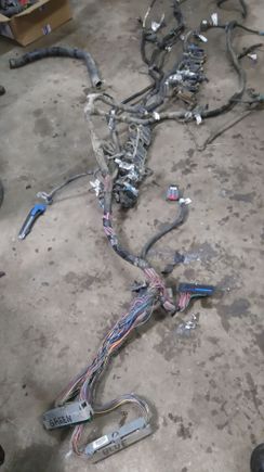 Starting on stand along wiring harness