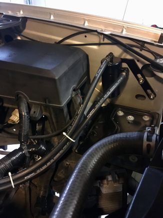 I need some Black Zip Ties...
