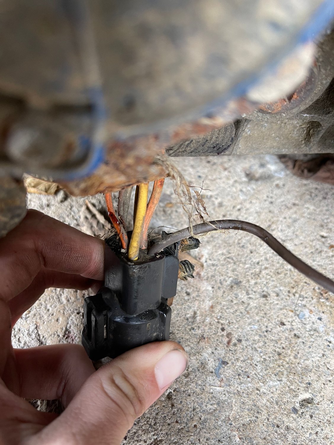 1998 Ranger transfer case connectors different? RangerForums The