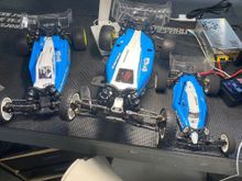 Buggy Family pic!