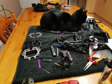 All work was overseen by the Chief Foreman, PJ the cat. She loves it when I'm wrenching on cars!