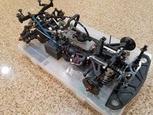 Serpent_6