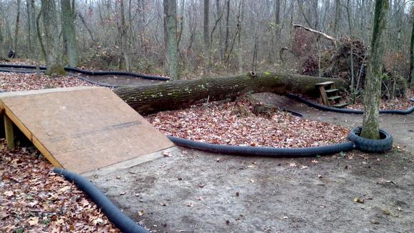 Plenty of room on the tree to stand/drive