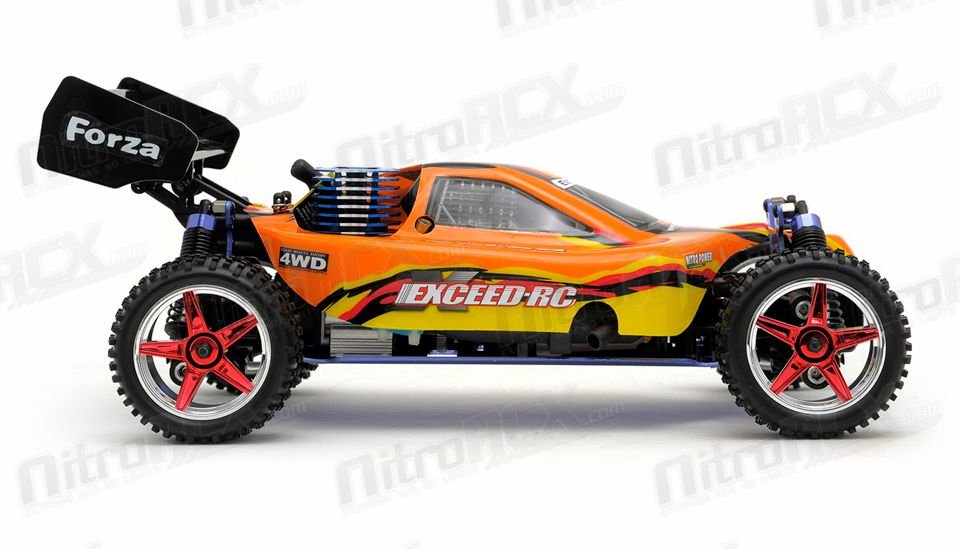 Exceed nitro clearance buggy