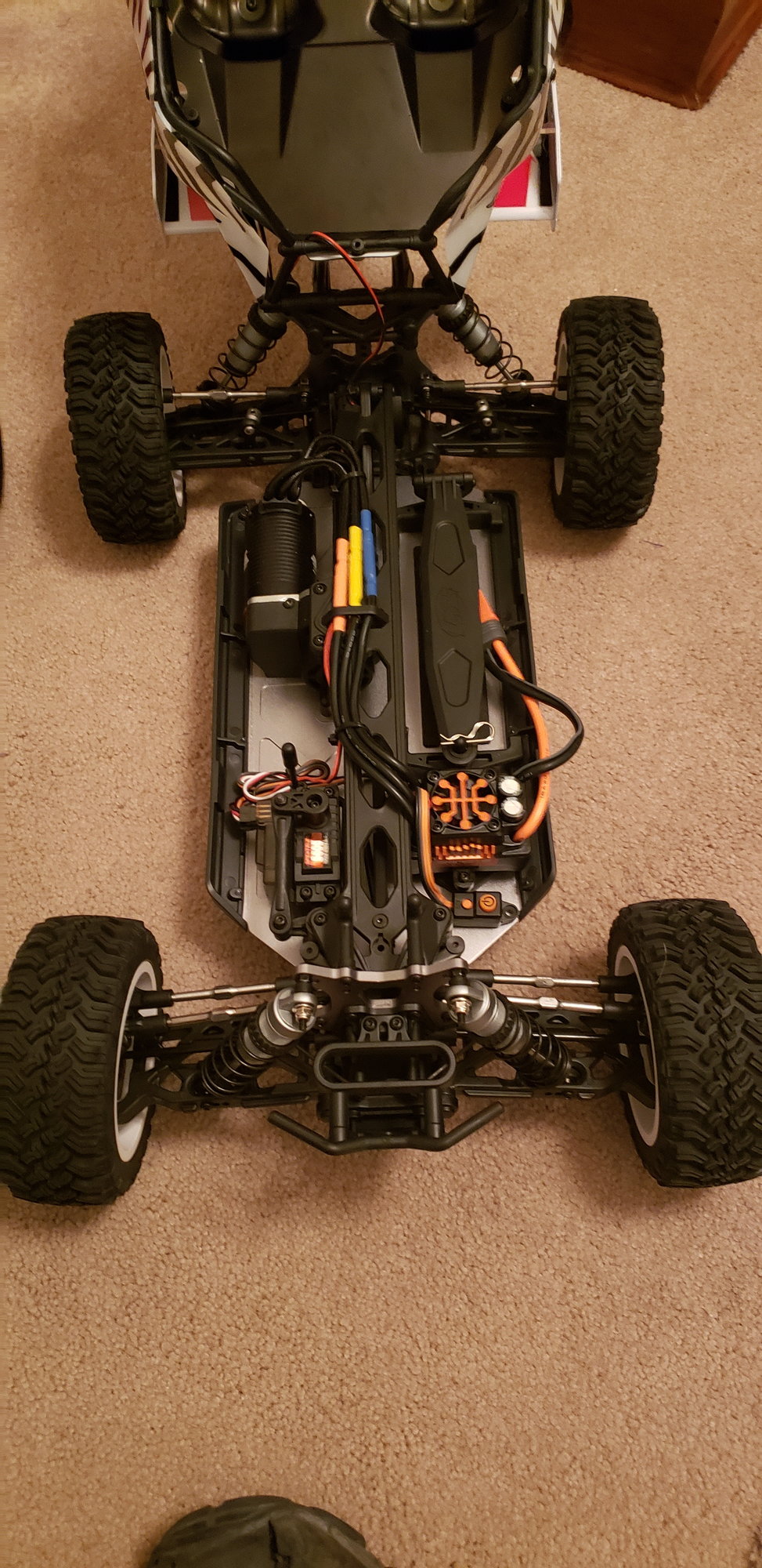 losi db pro fox