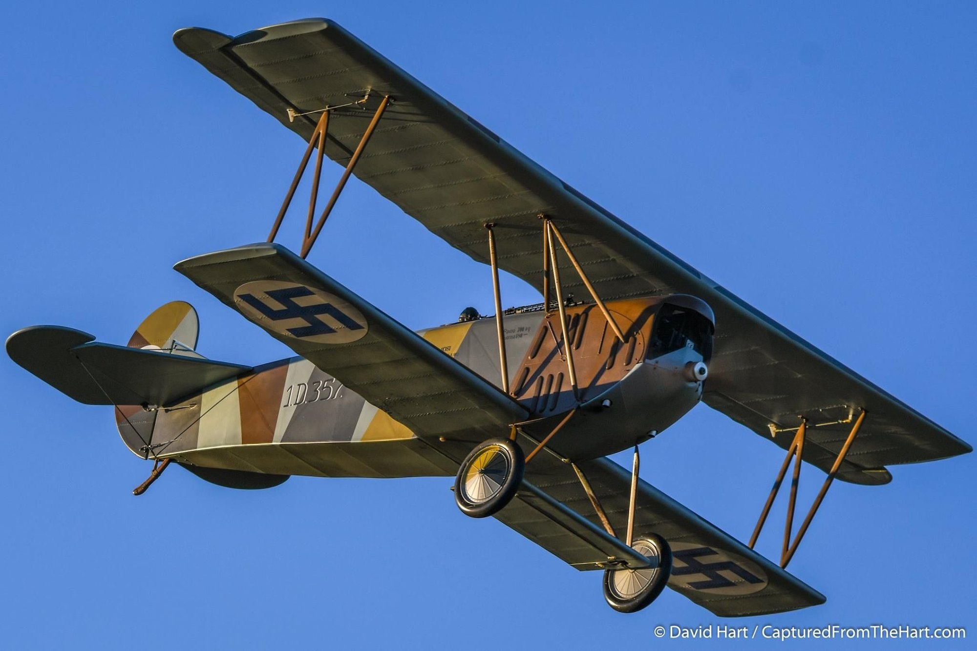 Balsa Usa Fokker D7 Rcu Forums Balsa Usa Fokker D7 Rcu Forums