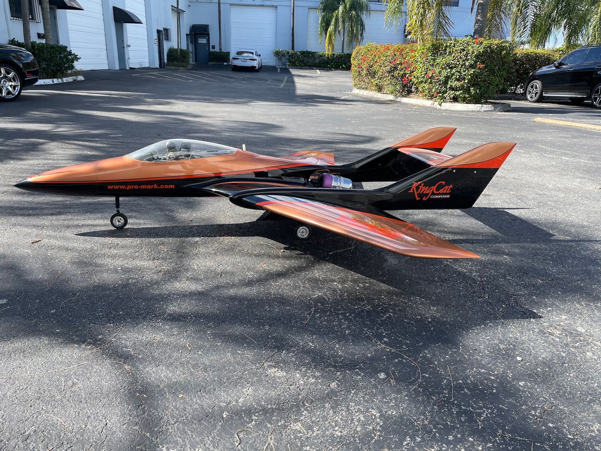 BVM Kingcat Jetcat P160 RTF RCU Forums