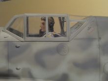 rear protection plate