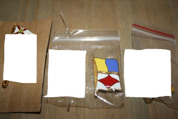 this is the photo of the pin required