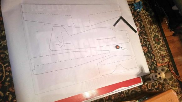 I laid the printed plans on the sign.