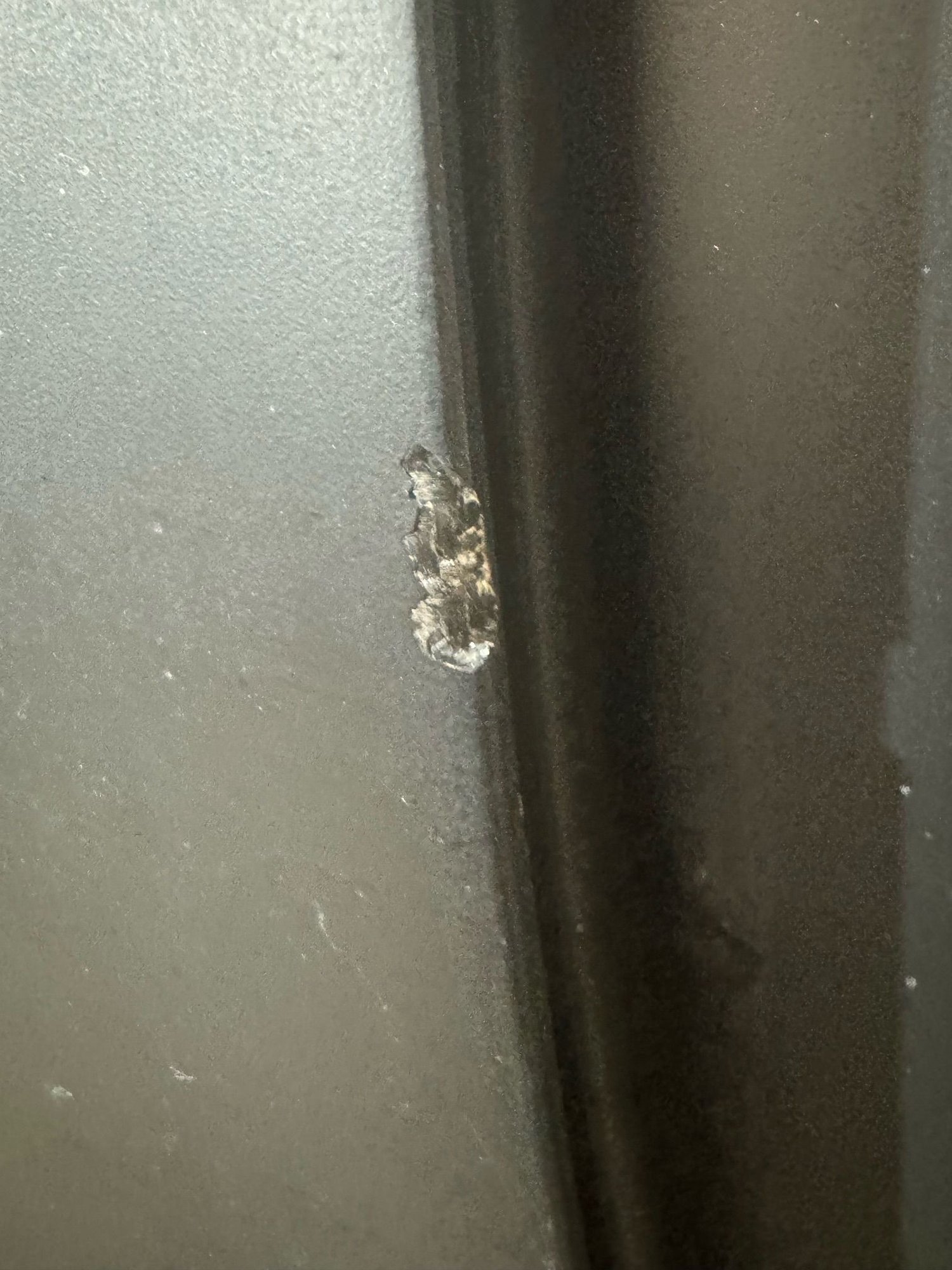 1994 Mazda RX-7 - Shine Auto feed hood - Exterior Body Parts - $900 - Allentown, PA 18104, United States