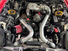 Overall shot of the engine bay.  IC pipe clamped in and good.  Still waiting to put the strut tower brace back on.