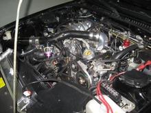 engine bay pics