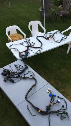 RHD Front harness (Possibly Version 5 car)