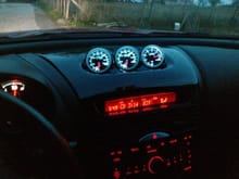 Prosport gauges