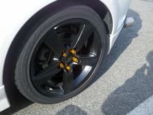 custom painted stock rims and gold lugs