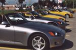 Salamander 2004