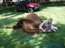 A DAY ON THE RANCH