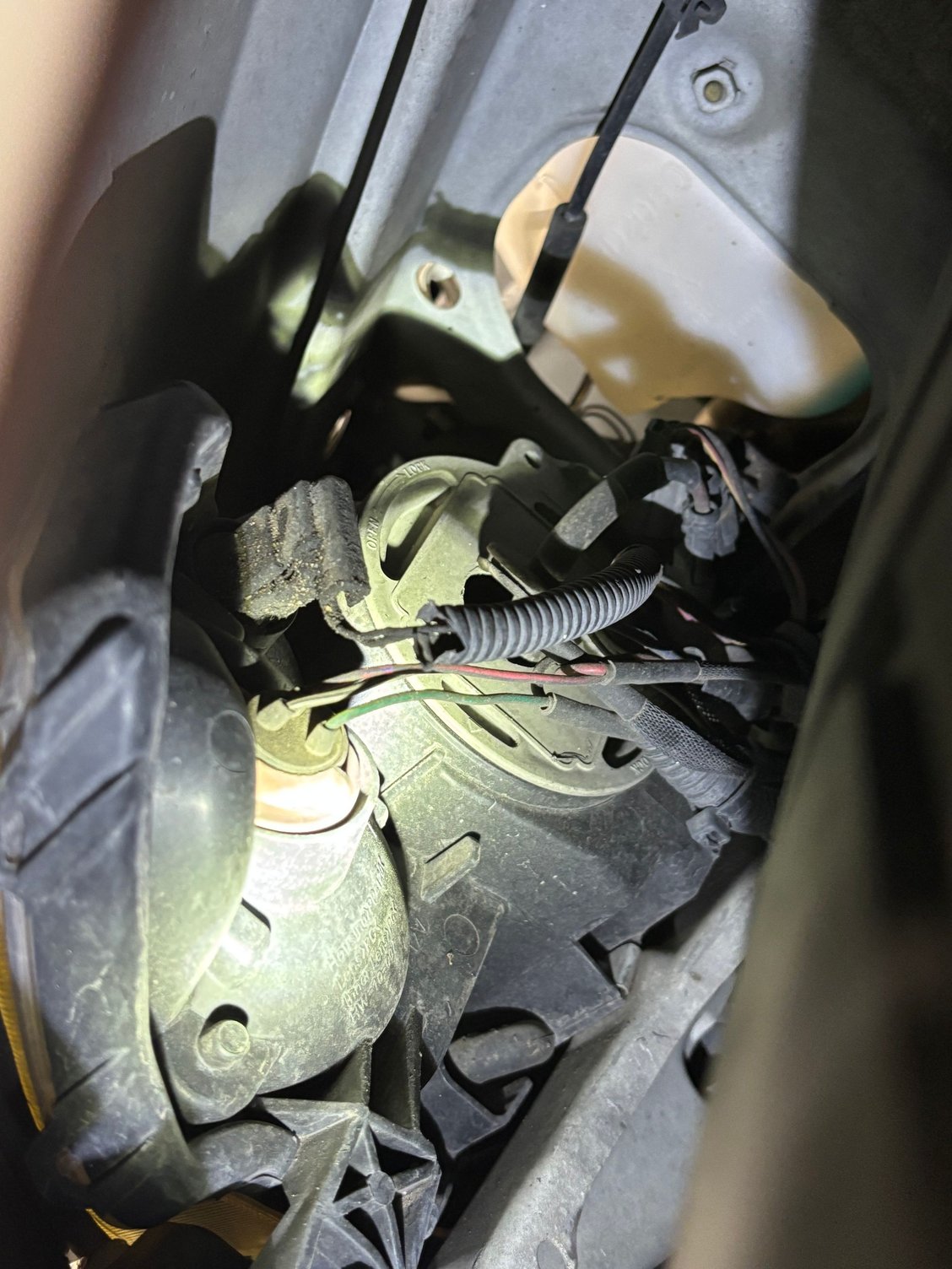 Drivers side for reference, turn signal socket is brown