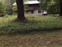 Not the best picture but a couple of years ago I came home on a Sunday afternoon and this bear was lying down just hanging out in our front yard. It was during bear hunting season so it was likely hiding out.