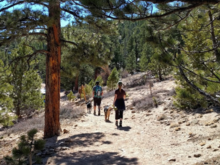 3-18-2017.  Lily Mountain Trail near Estes Park.